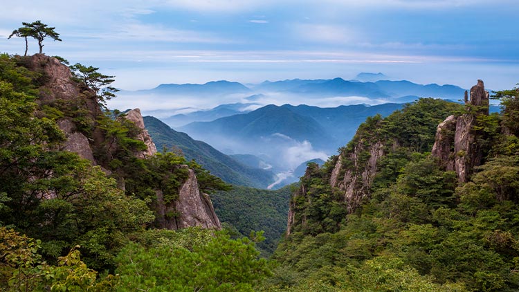 대둔산