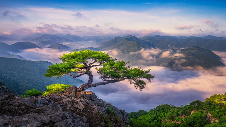 운암산